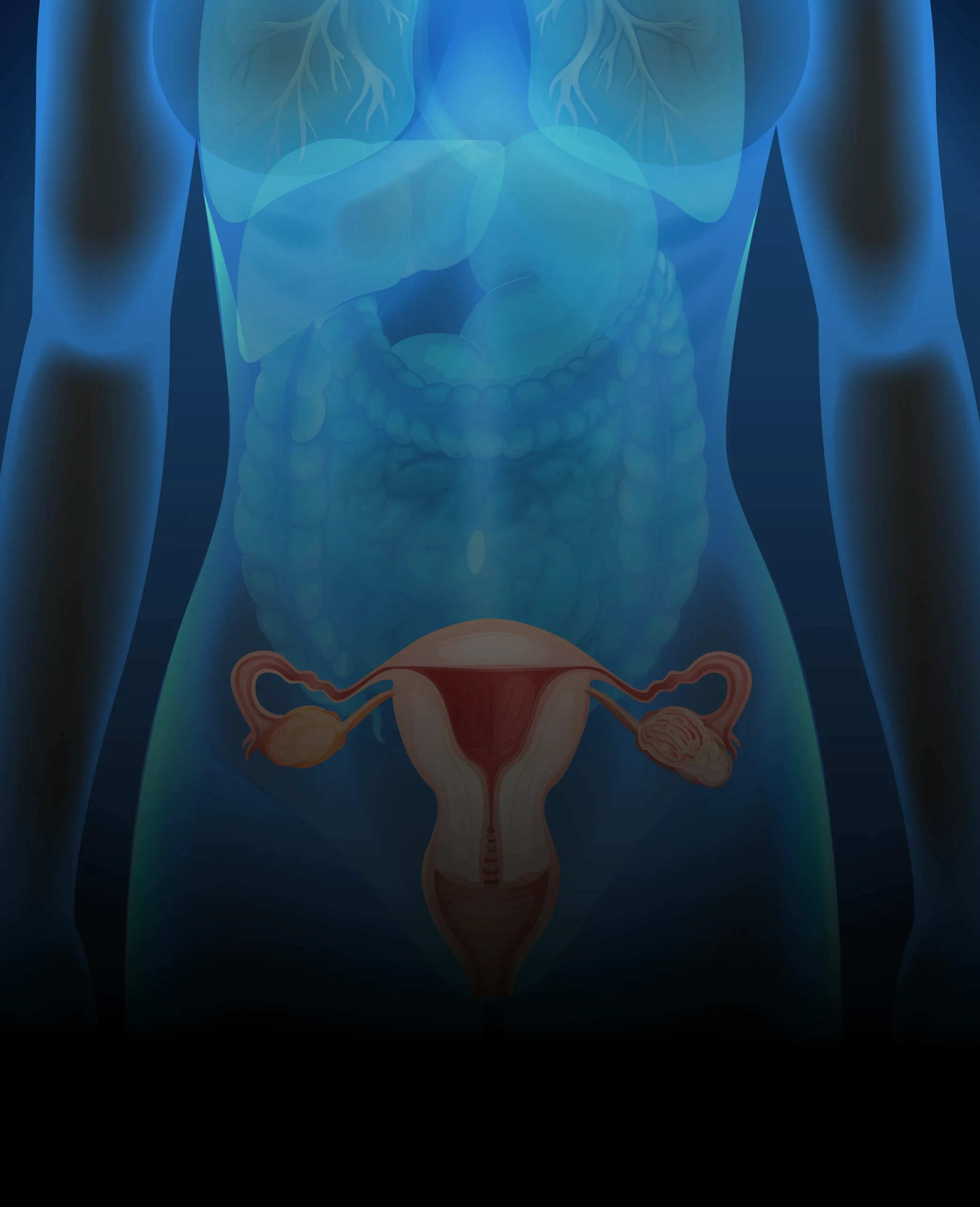 image-of-the-female-reproductive-system-showing-fibroids